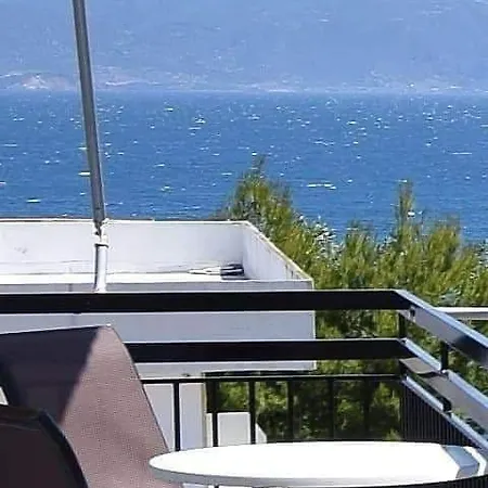 Jimmy's Селианитика